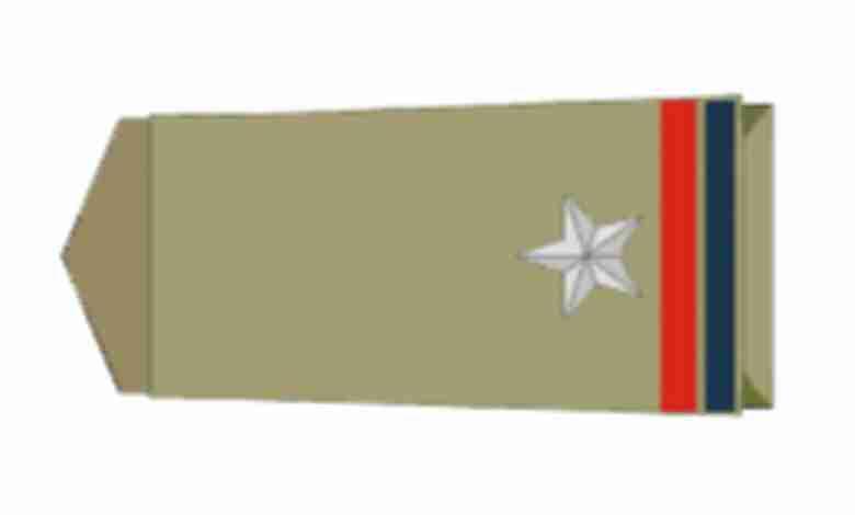 Assistant Sub-Inspector of Police (ASI) Badge 