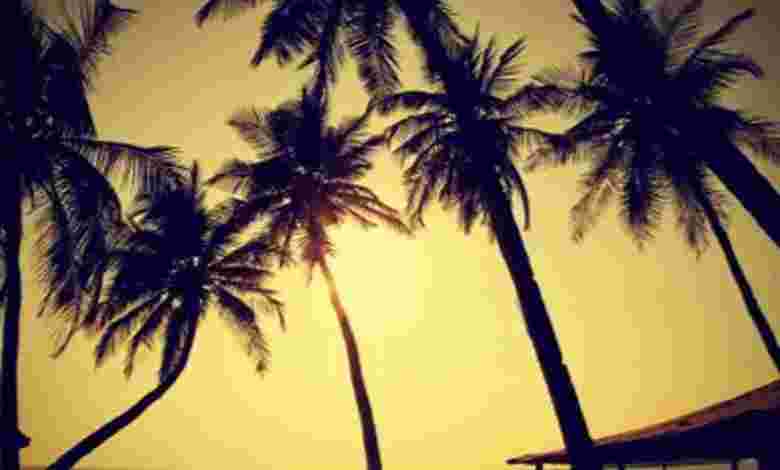 Baga Beach, North Goa