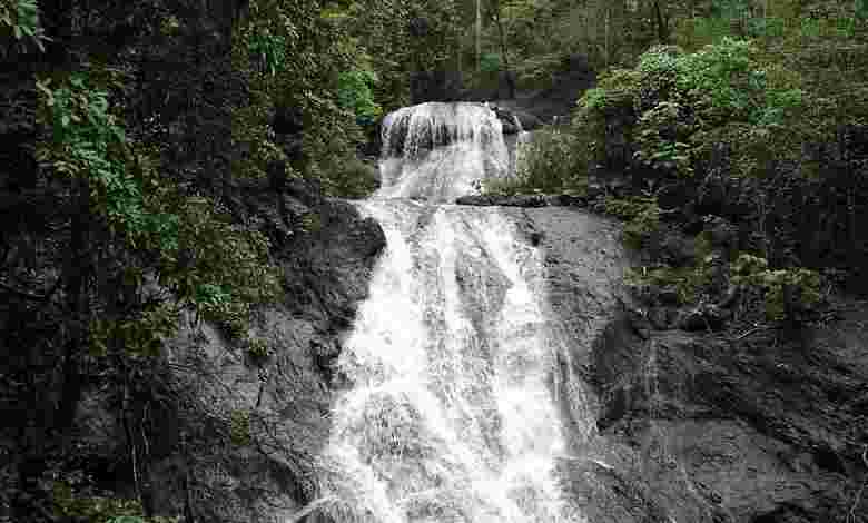 Bamanbudo Falls, Goa