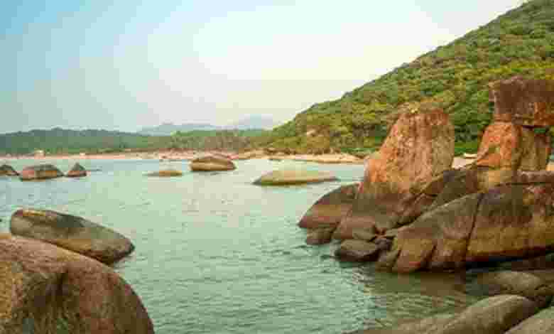 15 Best Beaches in Goa to Enjoy with Distance, Activities list