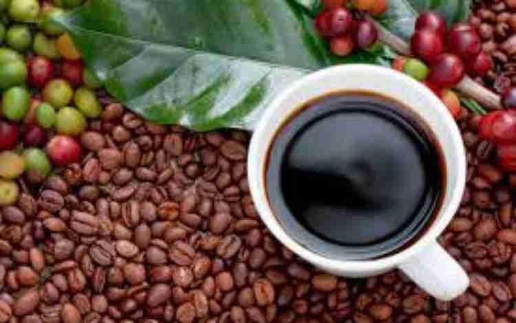 Benefits of Black Coffee