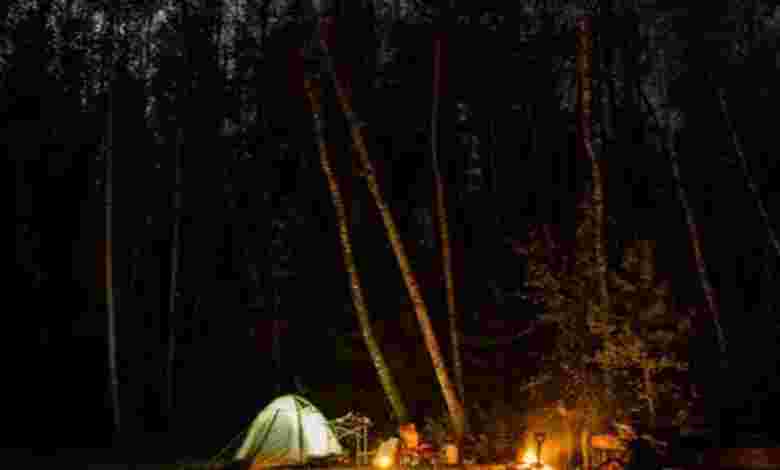 Camp Out at a Nature Reserve