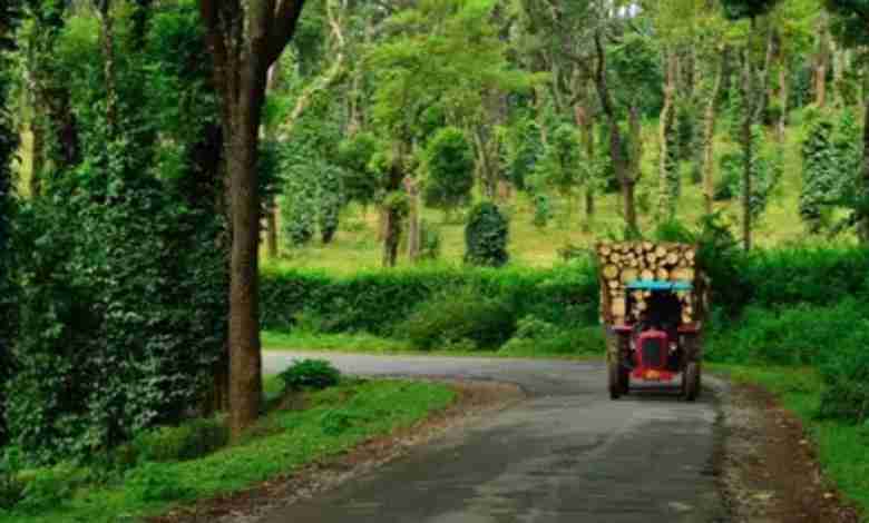 Coorg