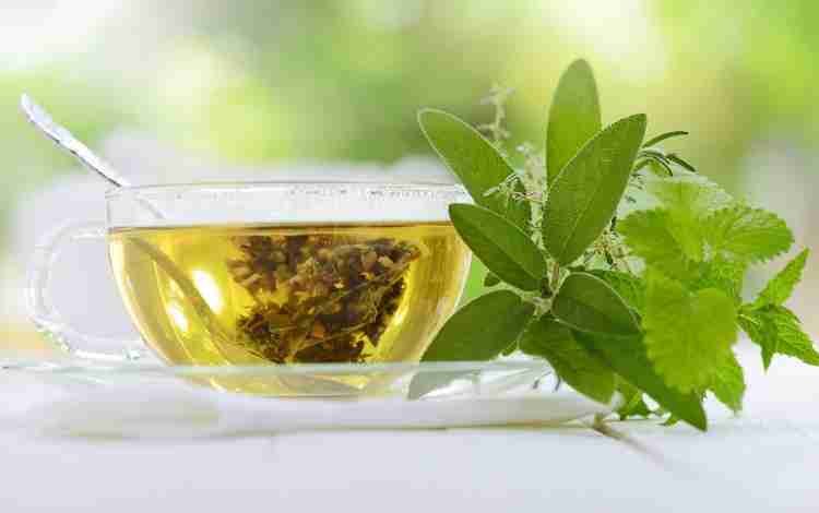 Benefits of Green Tea 