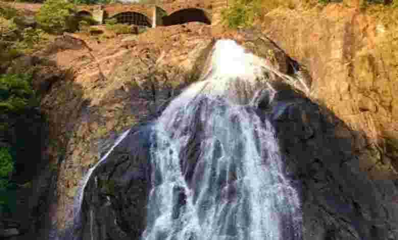 Have a Picnic at Dudhsagar Falls