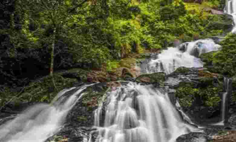 Iruppu Falls, Karnataka