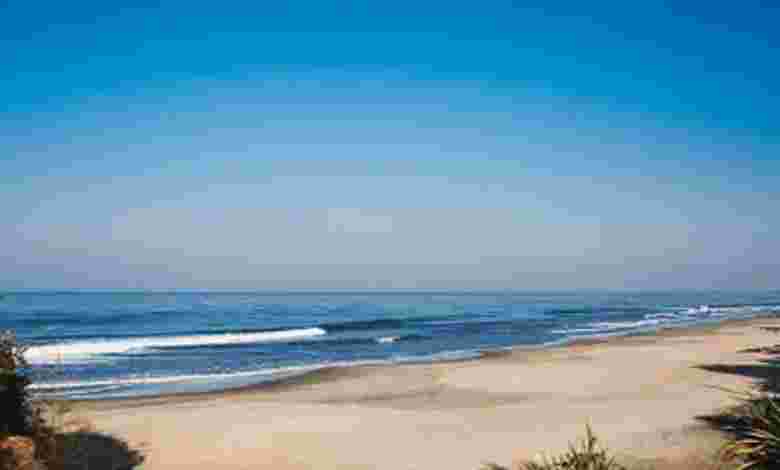 Morjim Beach, North Goa