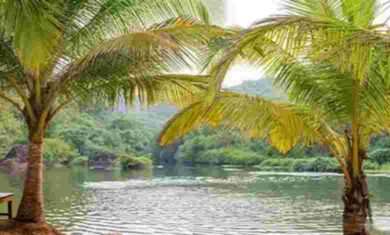 12 Must-Visit Scenic Lakes in Goa