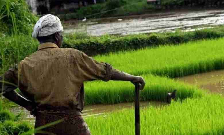 National Farmers Day