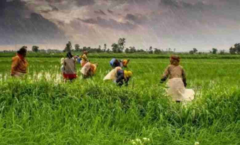 National Farmers Day