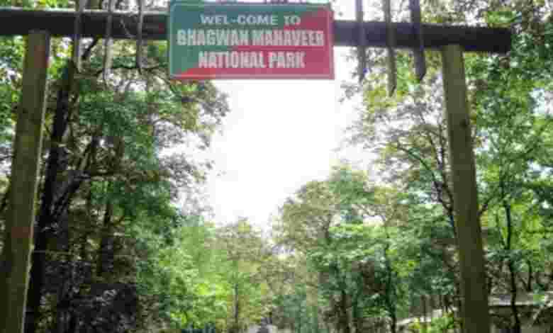 Places to Visit in Goa Wildlife Sanctuaries Exotic Nature