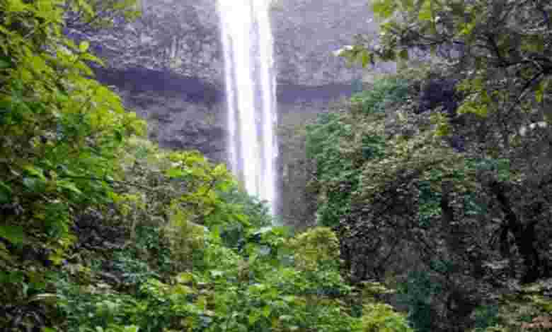 Sada Falls, Goa
