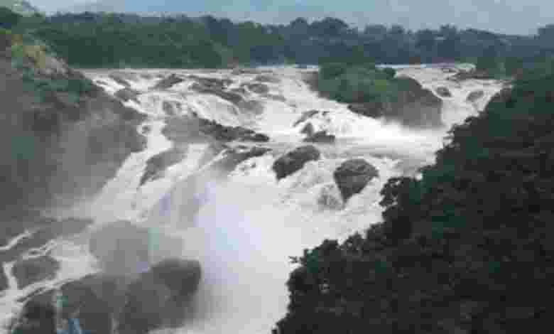 Shivanasamudra Falls, Karnataka